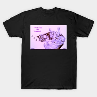 40 winks this summer T-Shirt